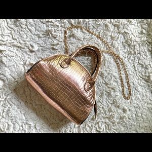 Metallic Alligator Skin Purse